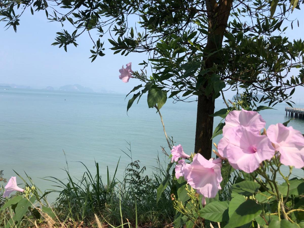 Fisherman Guesthouse 阁遥岛 外观 照片